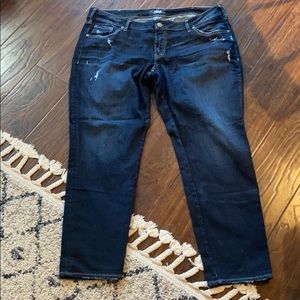 Silver Sam Boyfriend Capri Jean